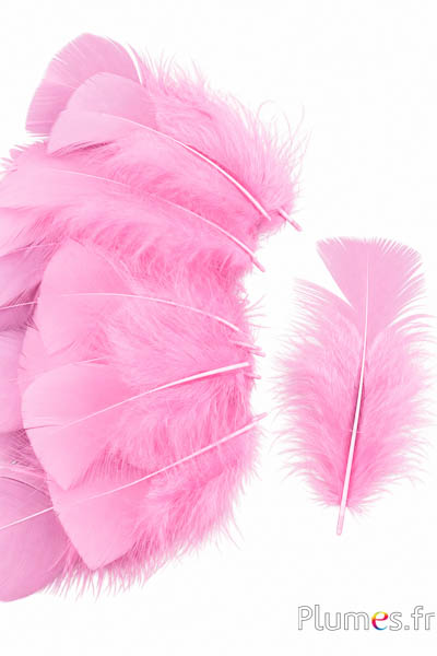 Pute - 6-8 cm - flamingo